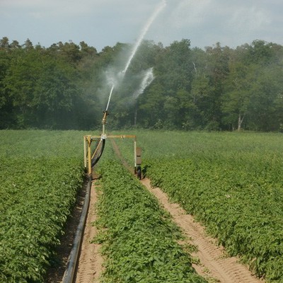 Uniformity and economy of sprinkler irrigation