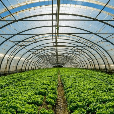 Greenhouse irrigation and humidity control